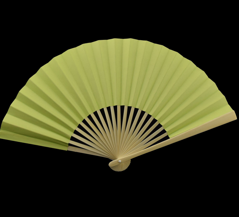 Premium Papierfächer Hellgrün