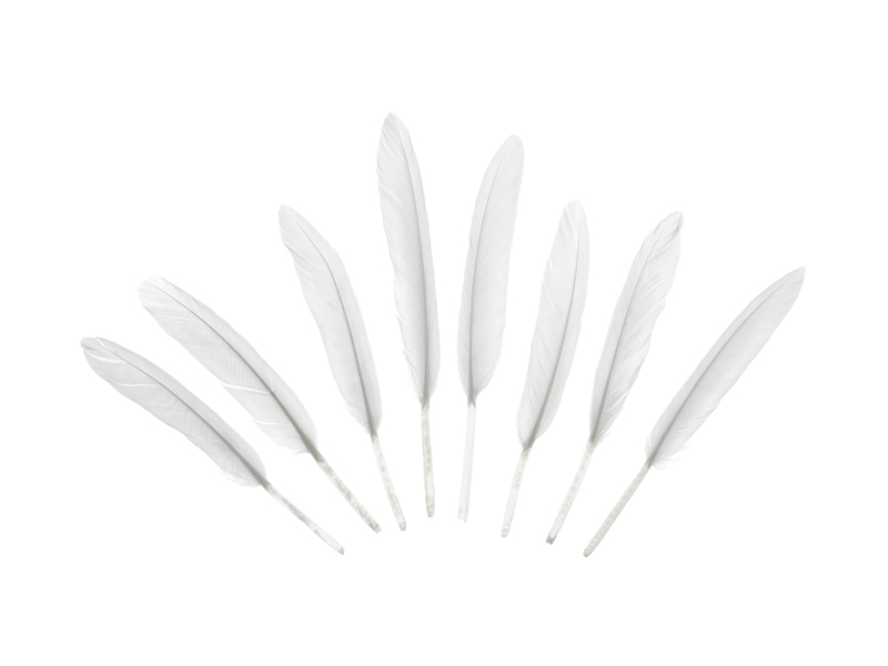 Tischdeko Federn